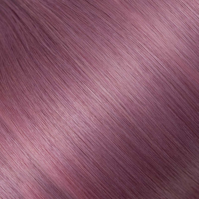 Straight / DC-L - Iris (Lilac)