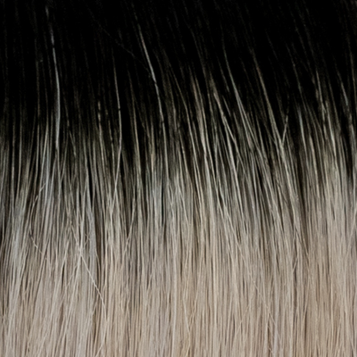 Straight / R1b/20A Ebony to Ivory